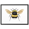 Print Bee