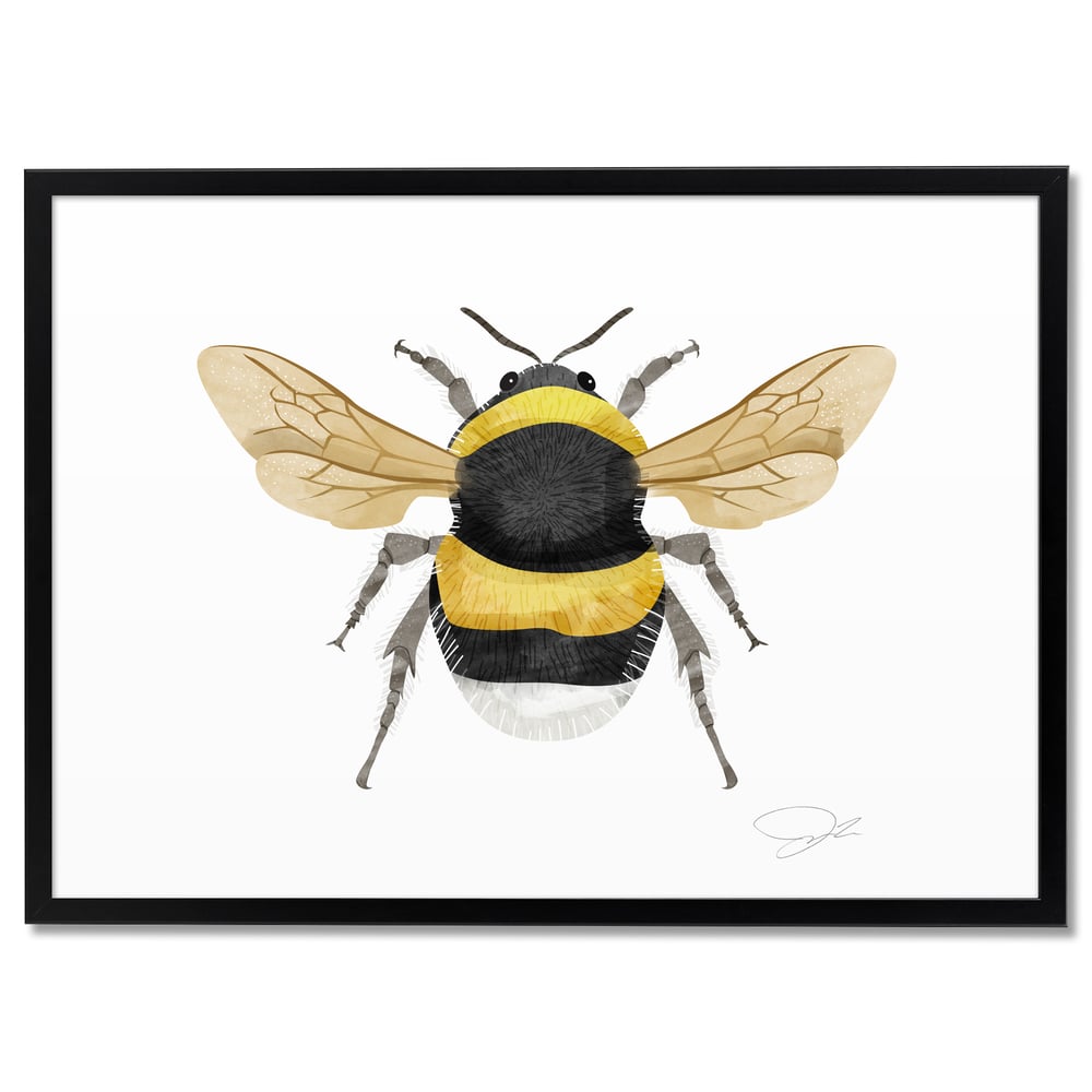 Print Bee