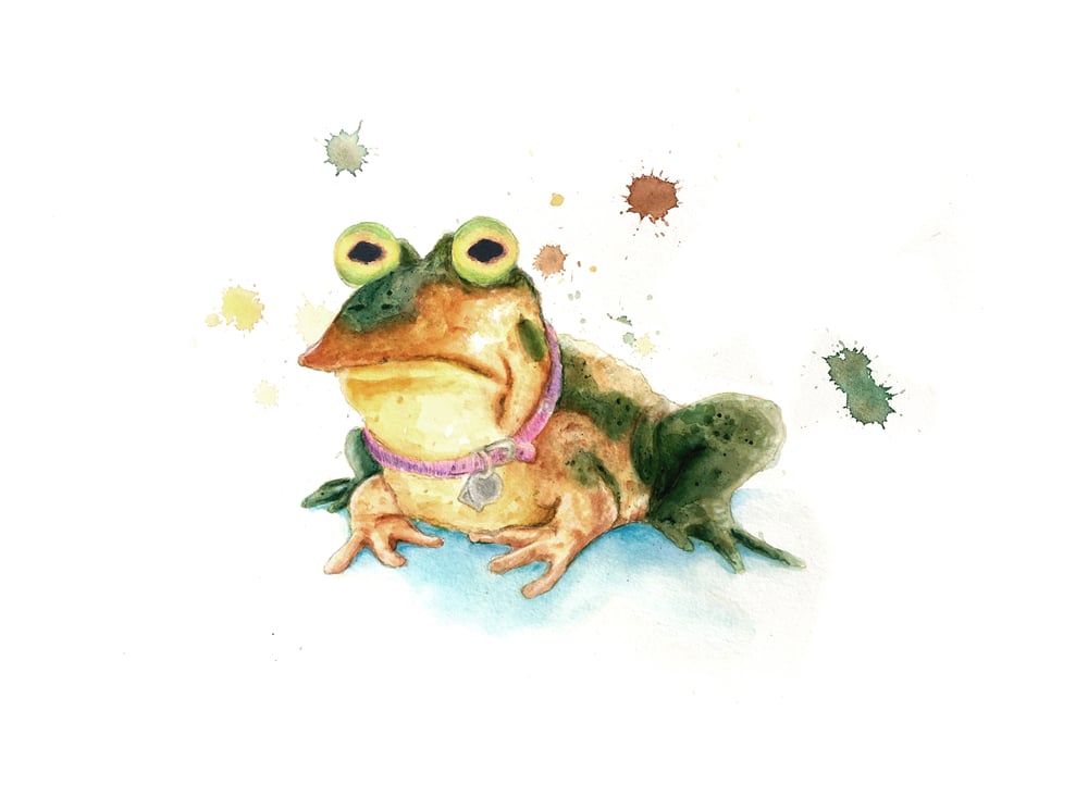Image of 'Bufo Hypnotizo' Limited Edition Art Print