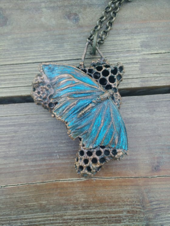Image of Real Monarch Butterfly Copper Electroplated 
