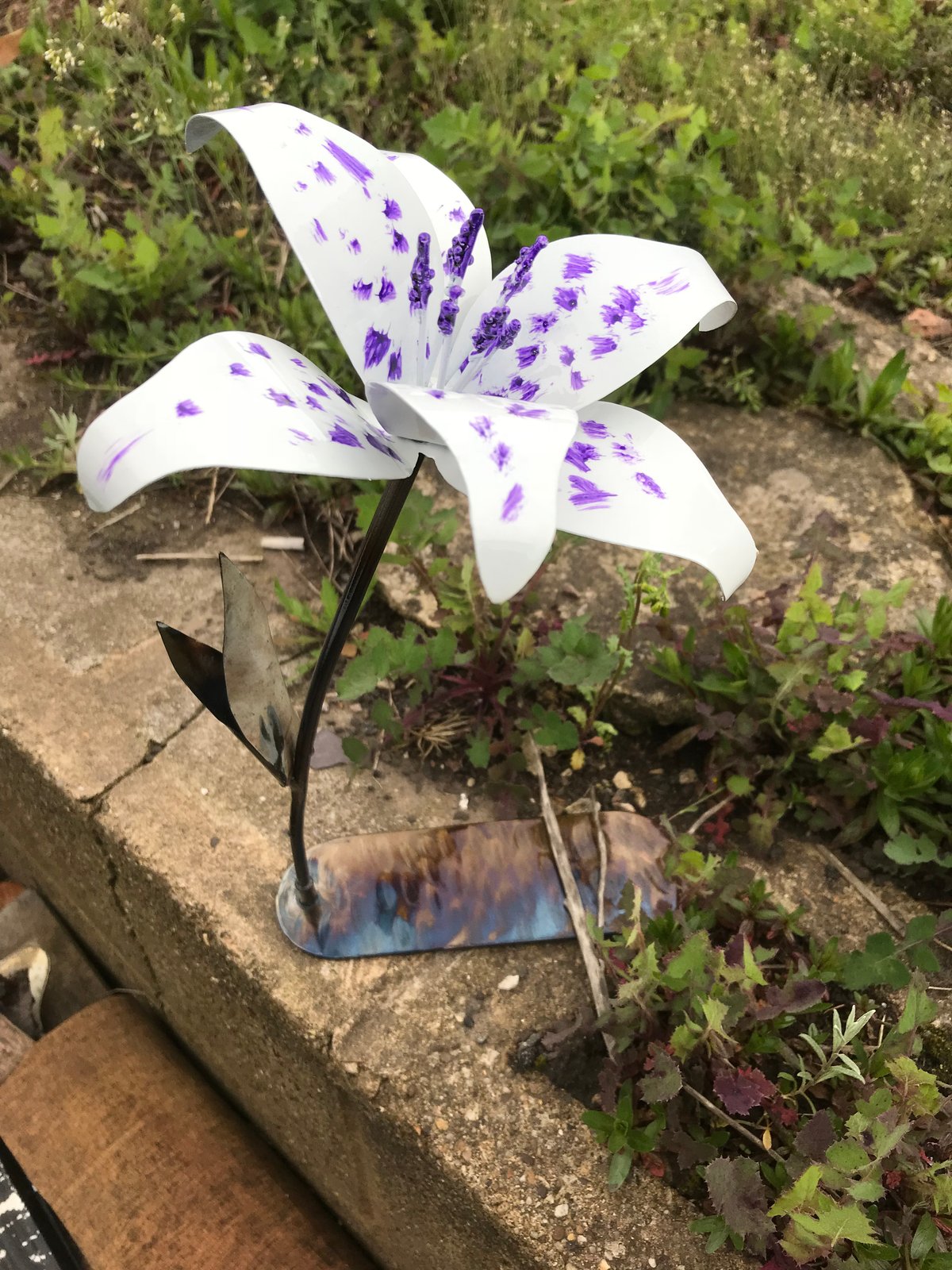 lily.jpg?auto=format&fit=max&h
