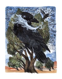 Chihuahua Ravens: 11 x 14 inch Archival Inkjet Print (Giclée)