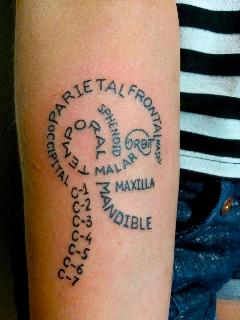 Image of Skeleton Typogram - PDF on black