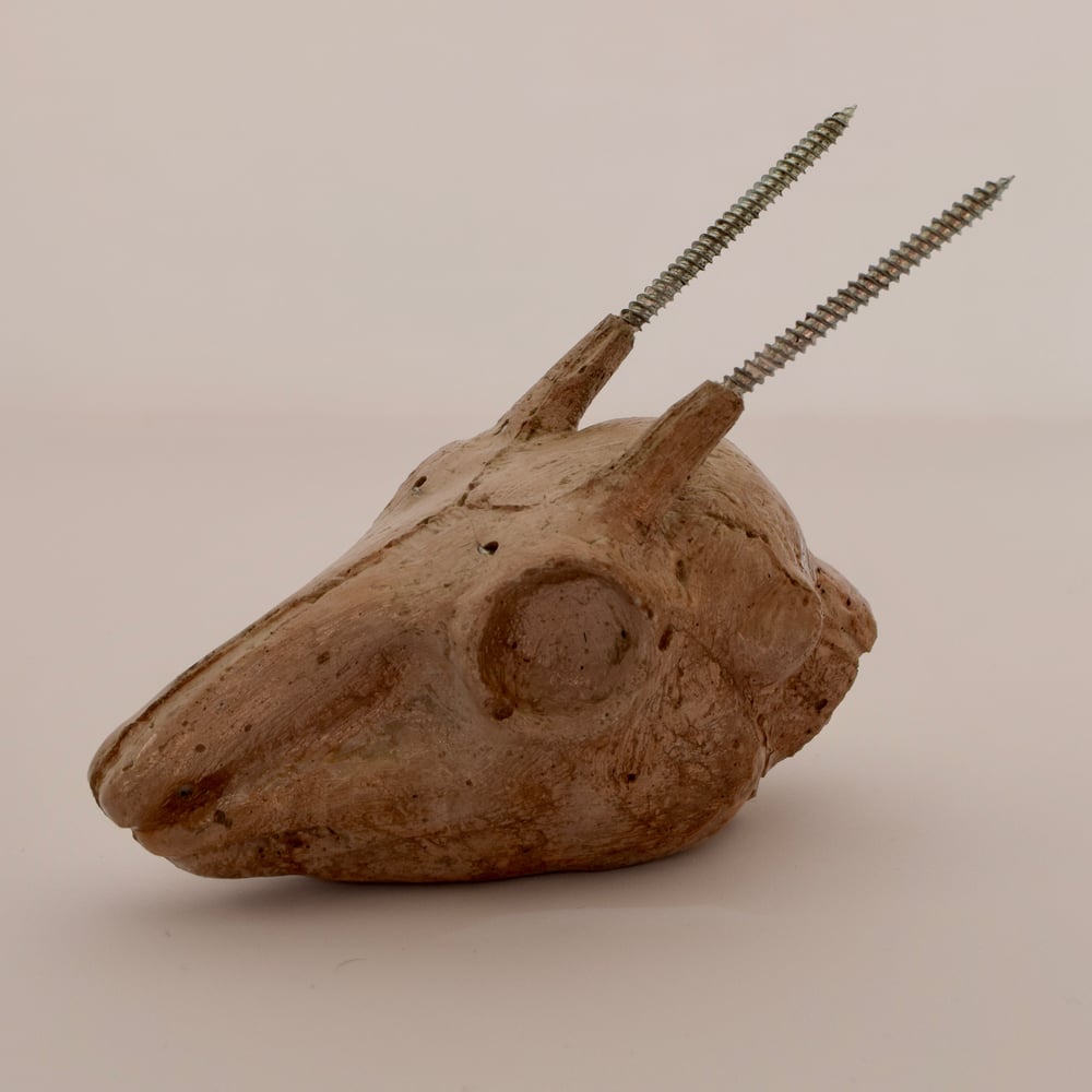 Image of Concrete Dik Dik head with screw antlers 