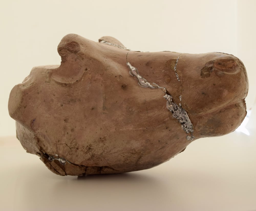 Image of Concrete Black Buck head with silver kintsugi
