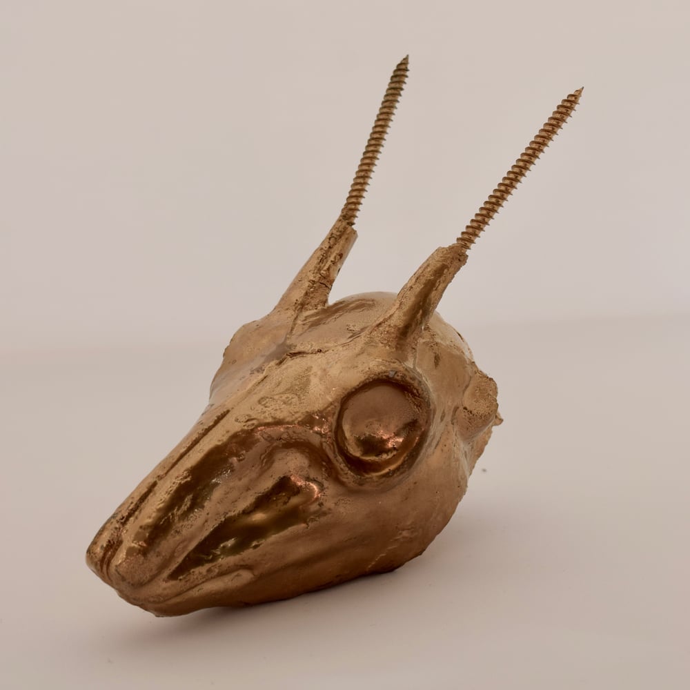 Image of Gold concrete Dik Dik head