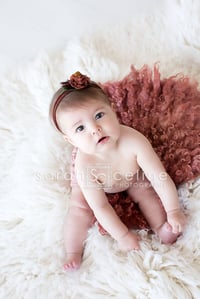 Image 3 of Baby Mini Session    Clothing provided!