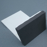 Image 2 of C1 Hip Pads