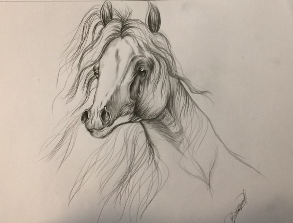 Image of Spirit