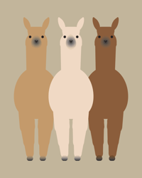 Image 1 of Alpaca and Llama Collection