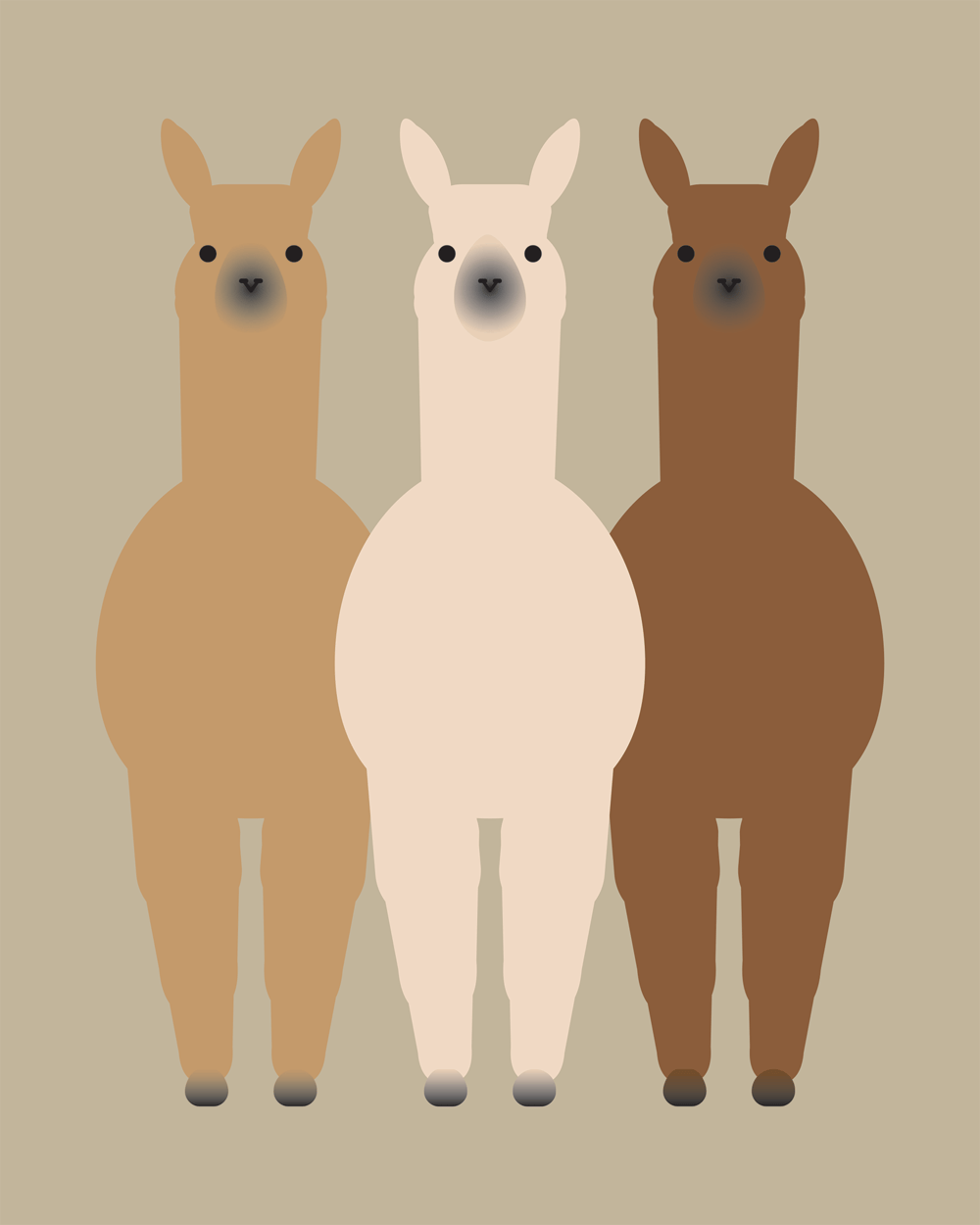 Alpaca and Llama Collection