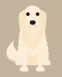 Image 1 of Golden Retriever Collection