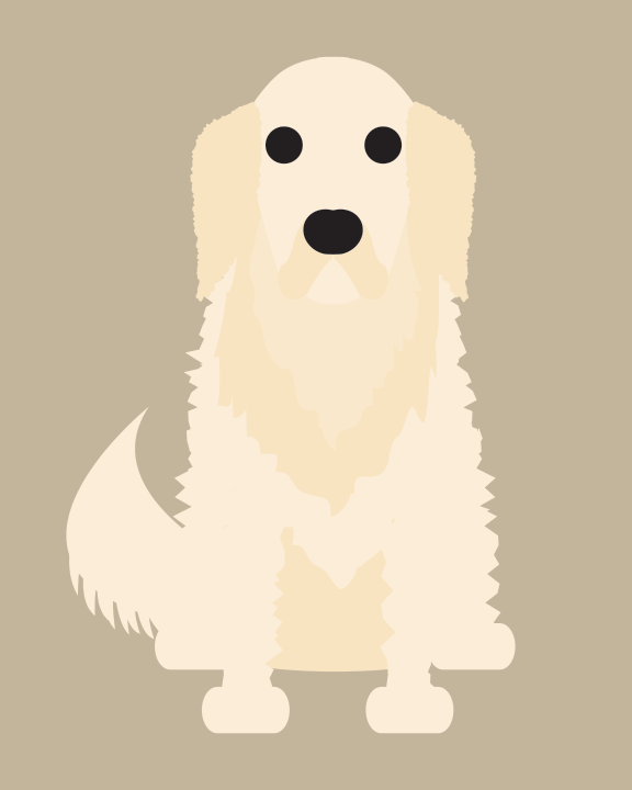 Golden Retriever Collection | marcartshop