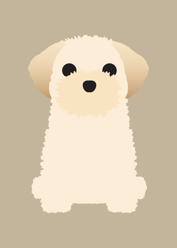 Shih Tzu, Samoyed Collection