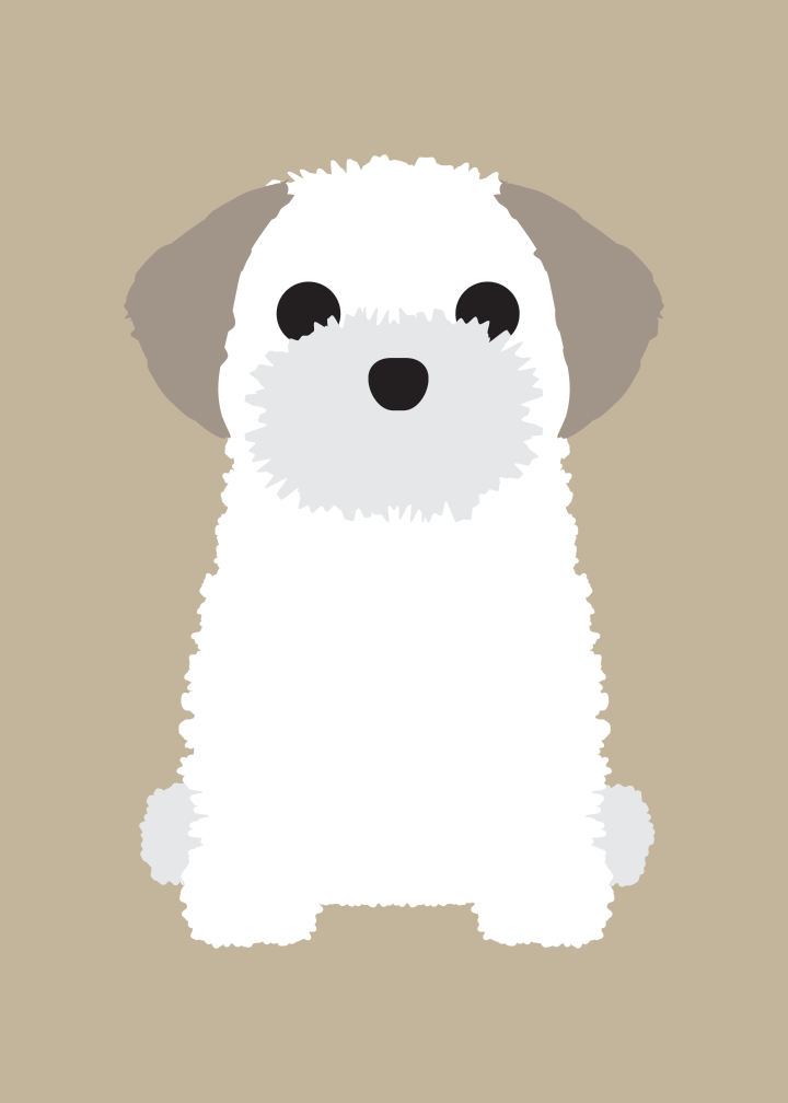 Shih Tzu, Samoyed Collection