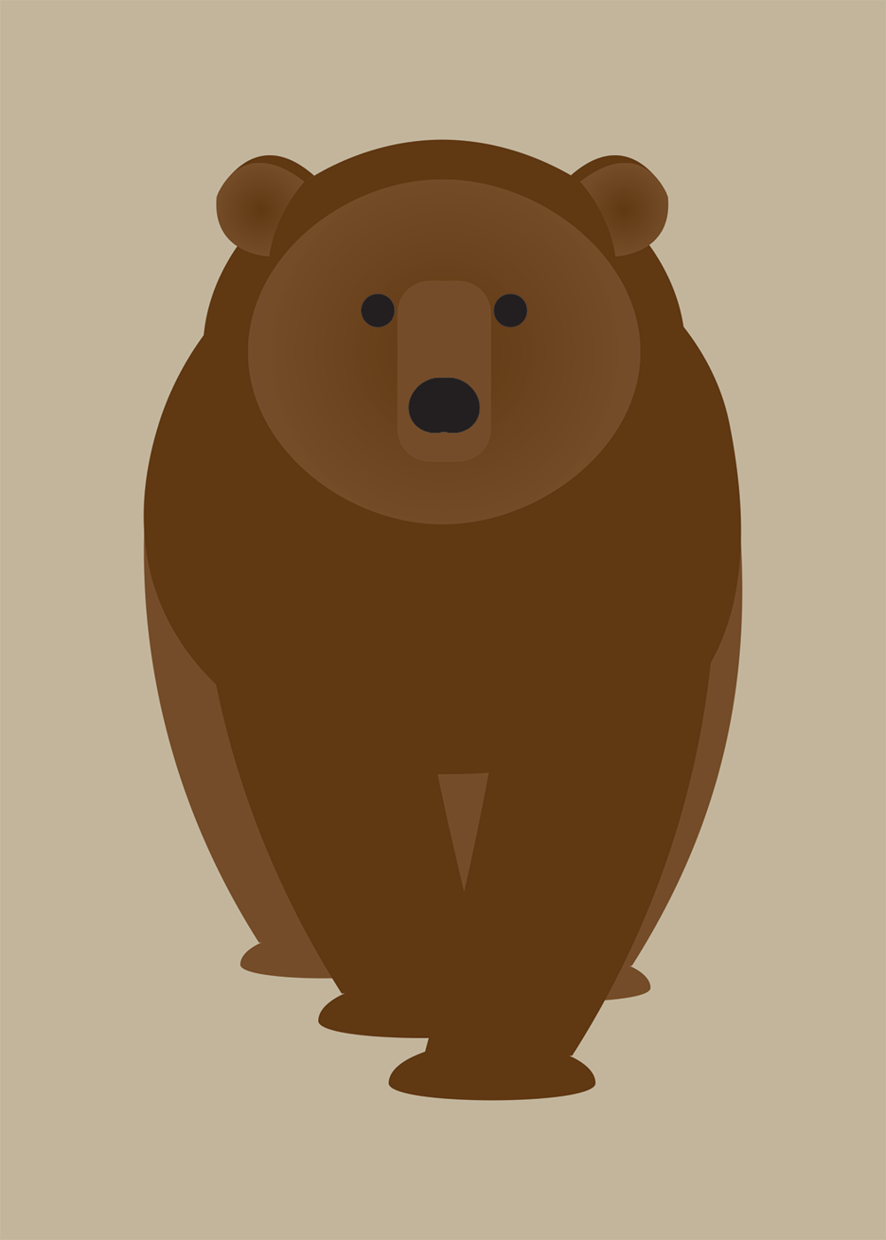 Armadillo, Brown Bear, Opossum, Raccoon Collection