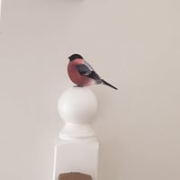 Image 4 of Bully Bullfinch ~ Removable Wall sticker