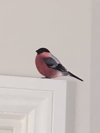 Image 3 of Bully Bullfinch ~ Removable Wall sticker