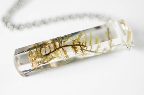 Image of Moss Specimen Necklace - Rectangular Prism