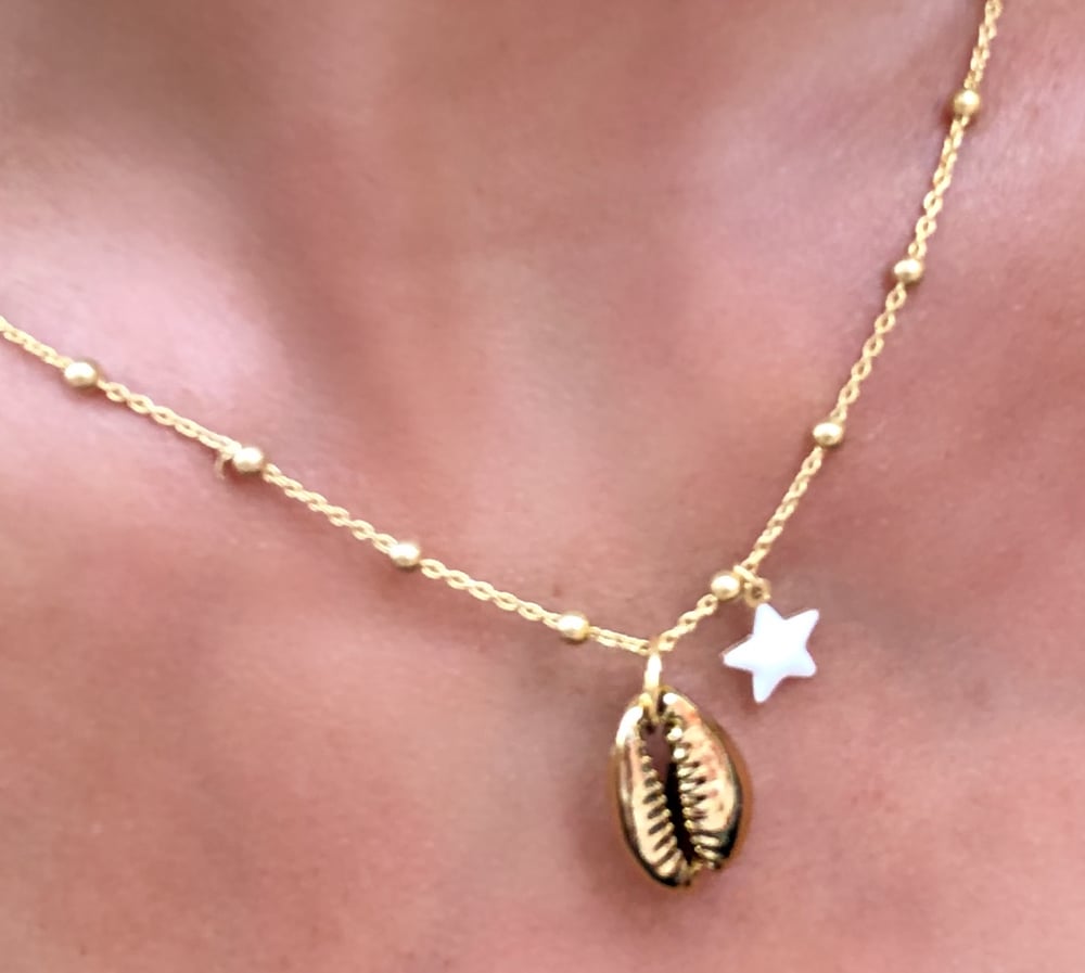 Image of Conchiglia stella