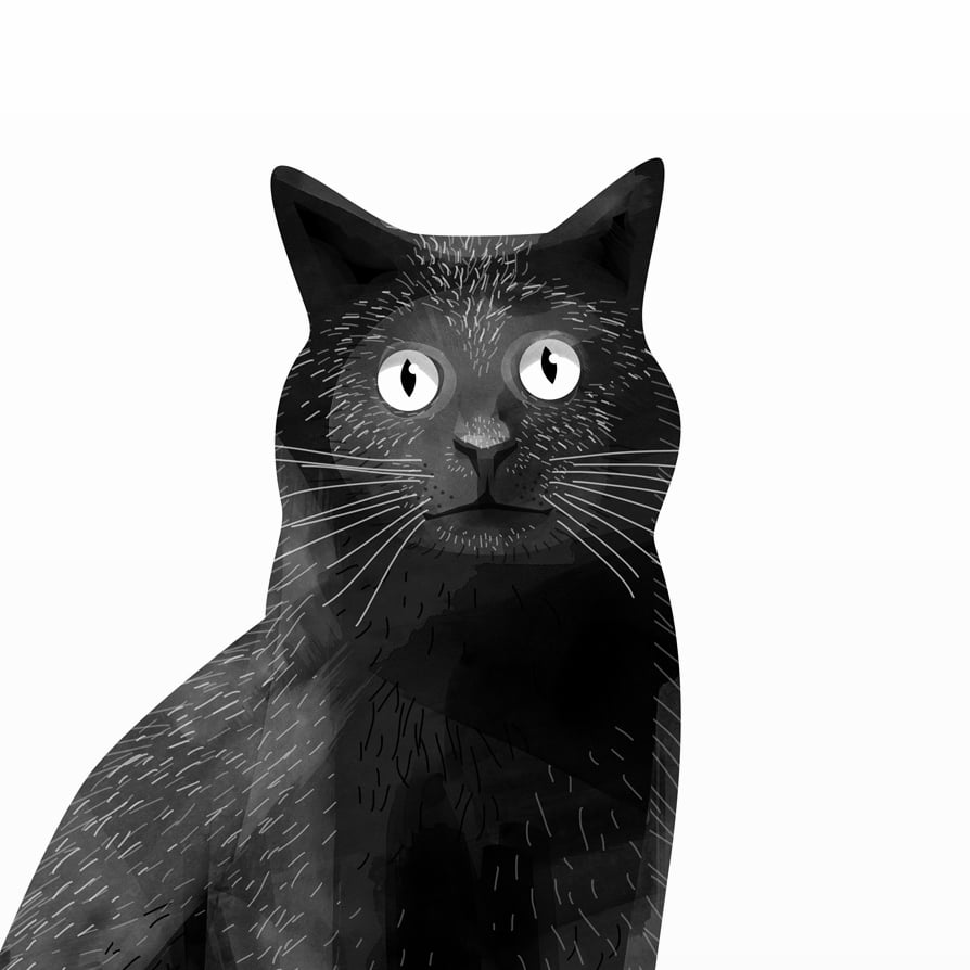 Print Black Cat