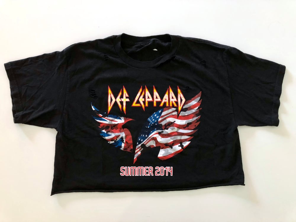 Image of Def Leppard Summer 14'