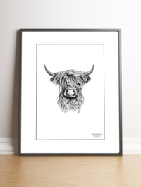 Highland Cow Limited Edition Print