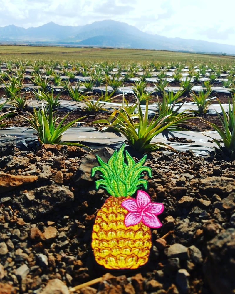 Image of v1. Sweet Hawaiian Pineapple 
