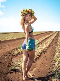 Image 2 of v1. Sweet Hawaiian Pineapple