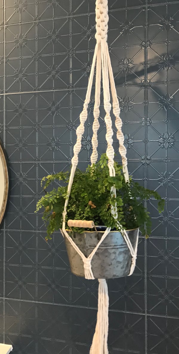 Image of "French Twist" - Plant hanger