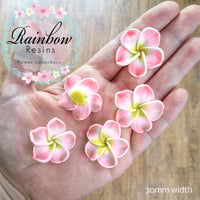 Tropical pink and yellow polymer clay flowers x 5