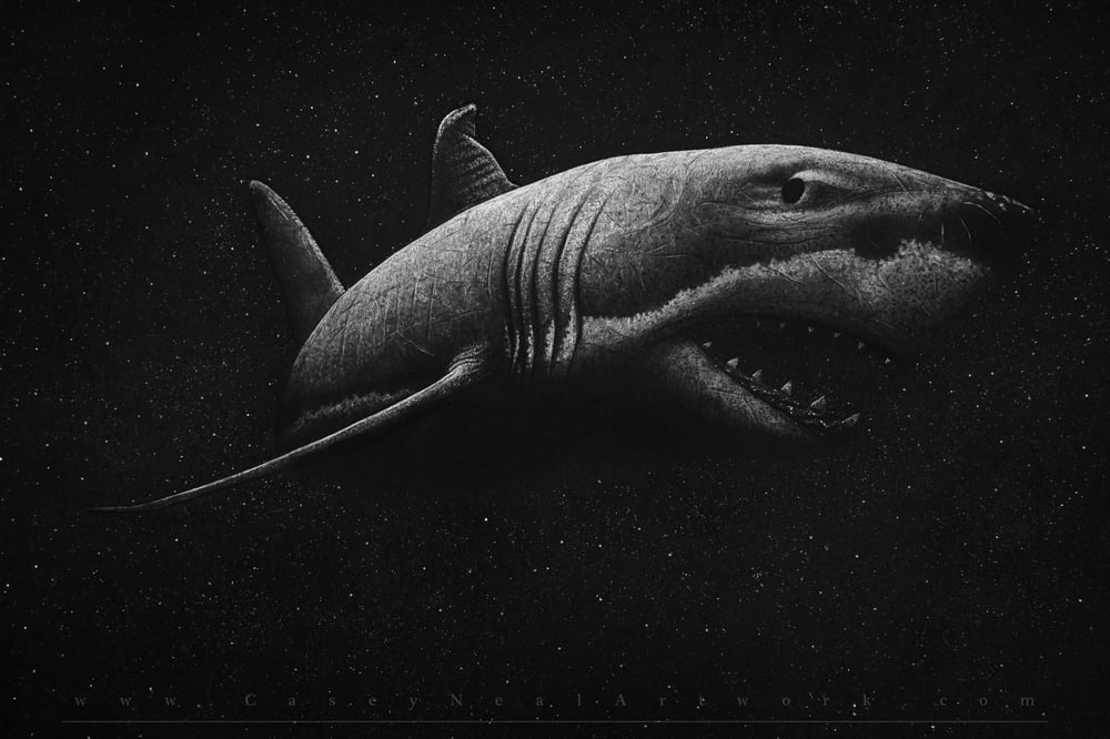 Image of Shark In Space