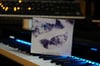 "I" CD