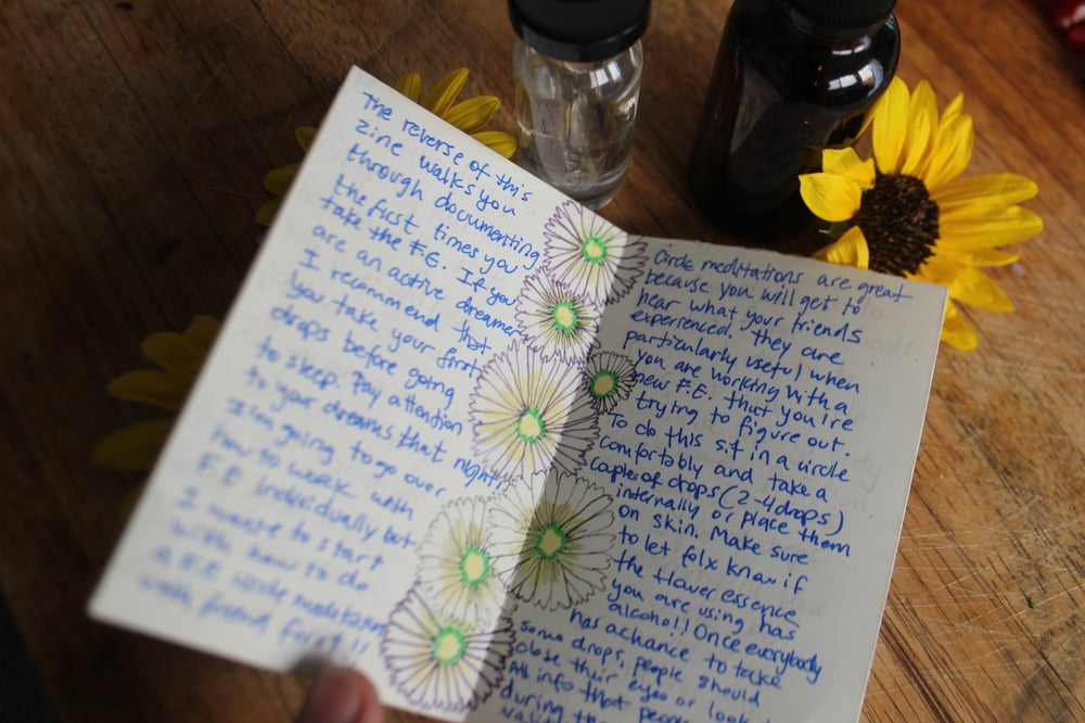 Image of WORKING WITH FLOWER ESSENCES MINI ZINE