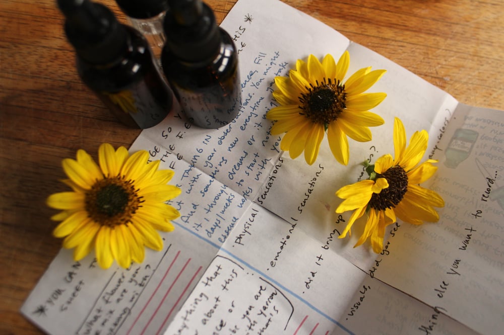 Image of WORKING WITH FLOWER ESSENCES MINI ZINE