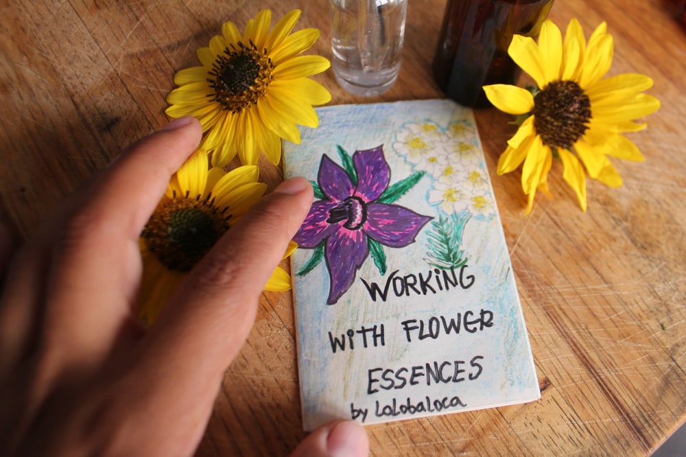 Image of WORKING WITH FLOWER ESSENCES MINI ZINE