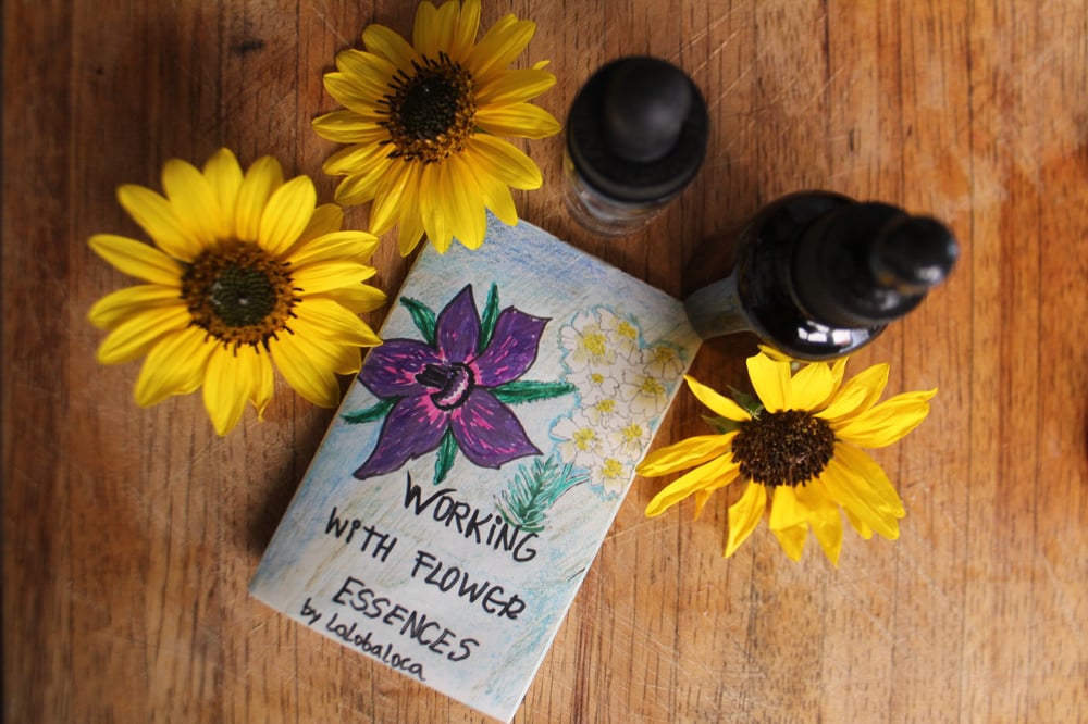 Image of WORKING WITH FLOWER ESSENCES MINI ZINE