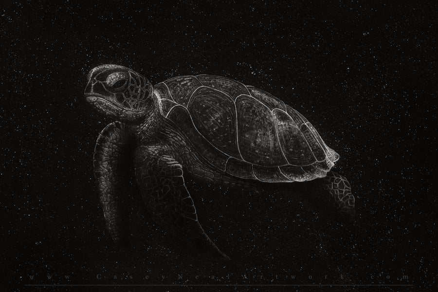 Image of Turtle In Space