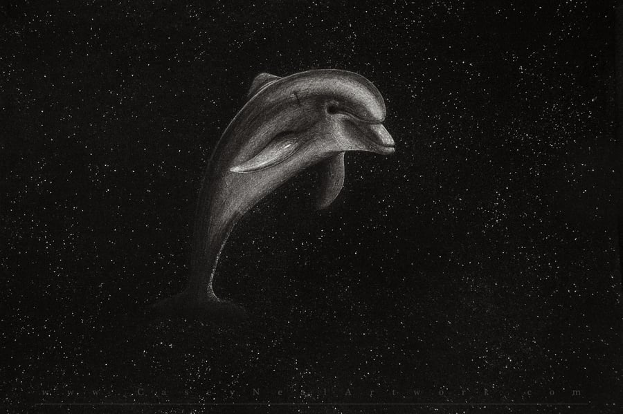 Image of Dolphin In Space