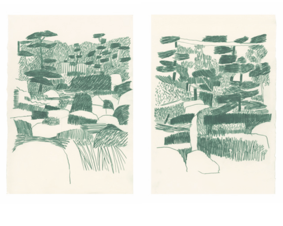 Image of SIDES