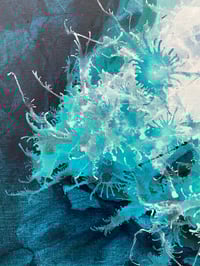 Image 3 of Mycorrhizal Archipelago 