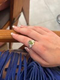 Image 3 of Serpentine Spiral