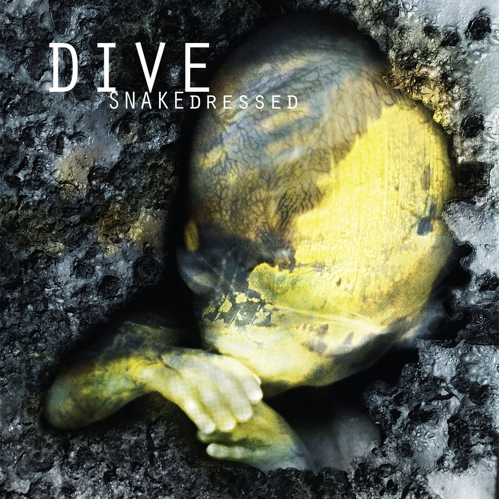 Image of Dive - Snakedressed 2LP