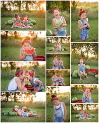 Summer Watermelon Picnic Minis (June29)