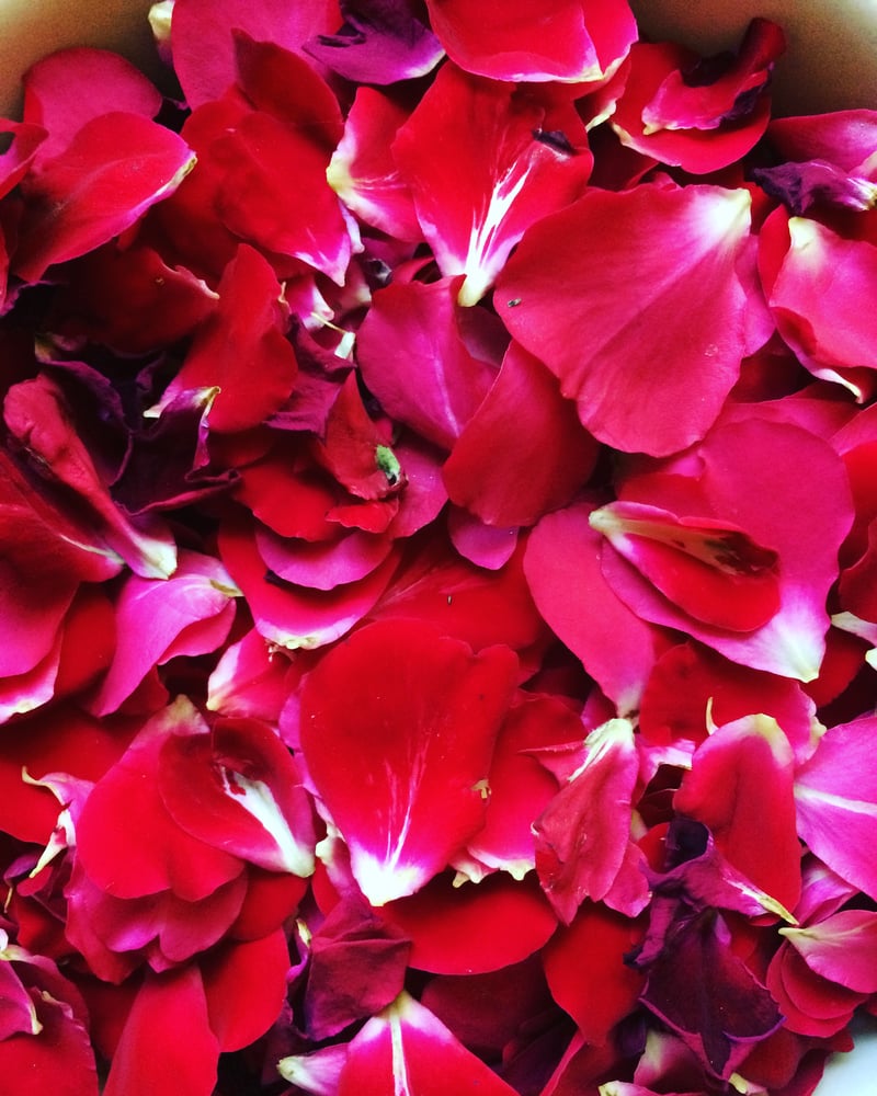 Image of Red Rose & Calendula Water ~ 2 oz. spray