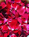 Red Rose & Calendula Water ~ 2 oz. spray