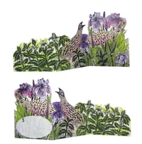 Image 2 of Corncrake Tri-fold