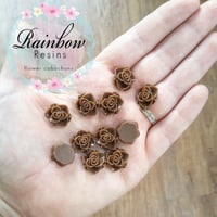 Dark brown wild roses x 10
