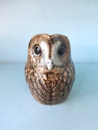 Image 2 of Tawny Owl Jug