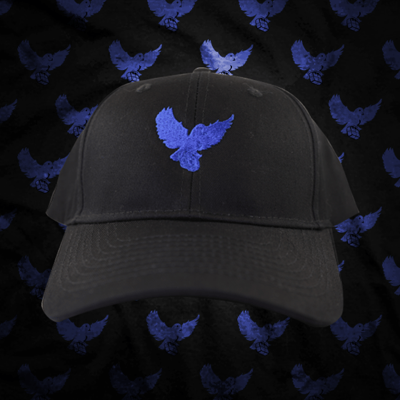 Image of Black/Blue Birdies Dad Hat